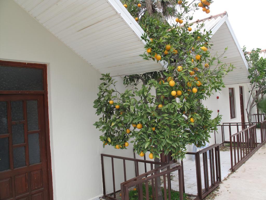 Dream Park Bungalow Titreyengol Екстер'єр фото
